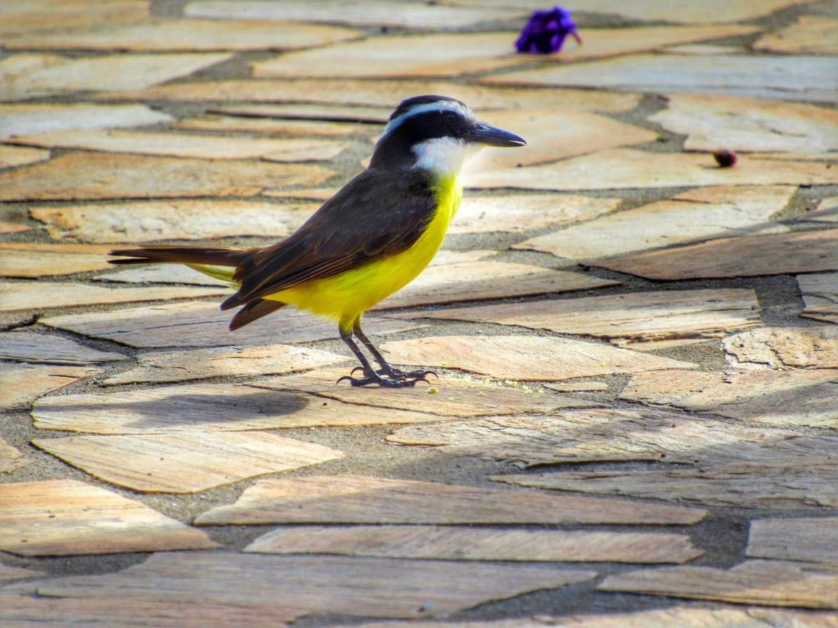 Pousada Mandalla Serra do Cipo National Park Bagian luar foto