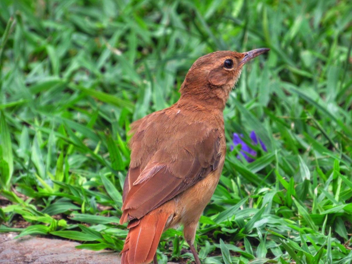 Pousada Mandalla Serra do Cipo National Park Bagian luar foto